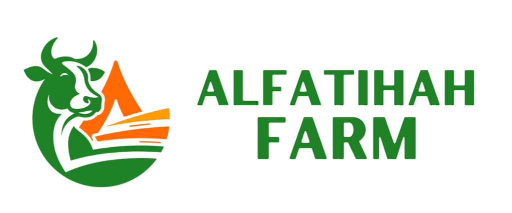 jualqurban