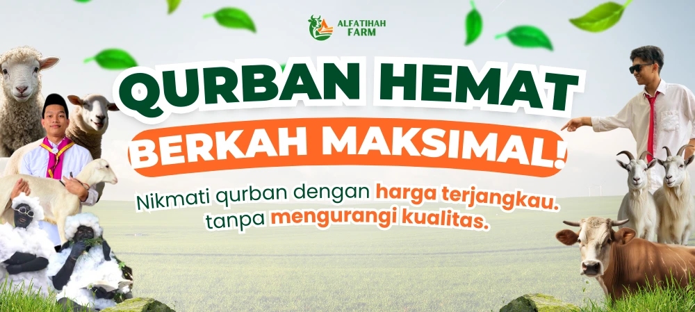 LP QURBAN